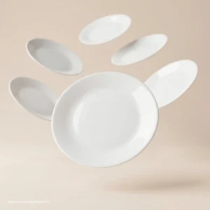 Bormioli Rocco Ronda opal dinner plates set of 6 in premium white tempered glass floating display